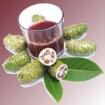 intro-beneficios-jugo-noni-noniDOTtienda-150px-v3