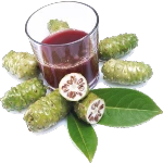 El jugo de noni, conocido por sus propiedades antioxidantes y regenerativas, no se limita a ser un superalimento: también puede convertirse en el eje de un negocio rentable